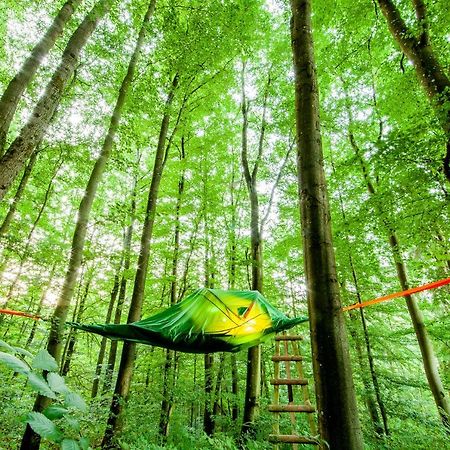 Appartementhaus Eifeladventures Berlingen Zewnętrze zdjęcie