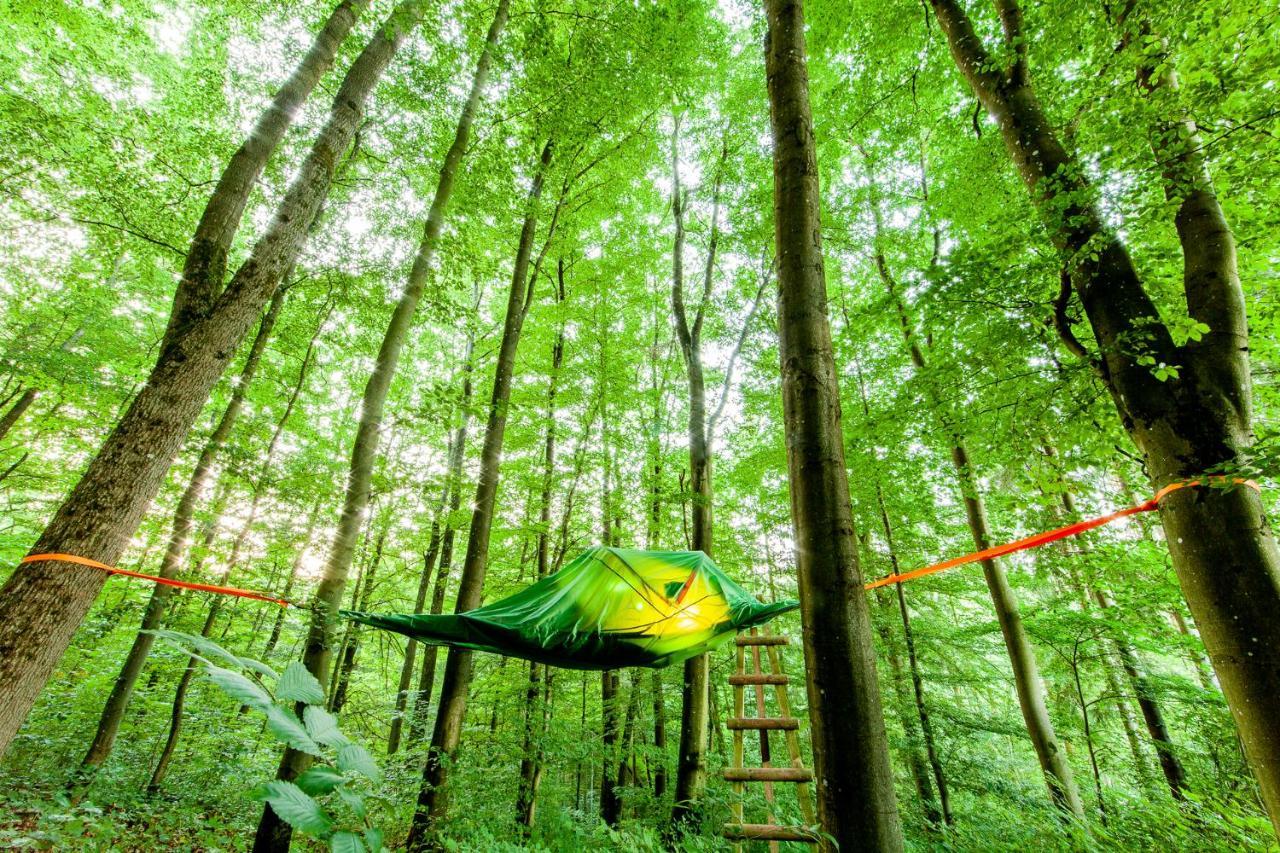 Appartementhaus Eifeladventures Berlingen Zewnętrze zdjęcie